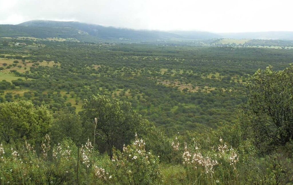 663_fincas-en-venta-037