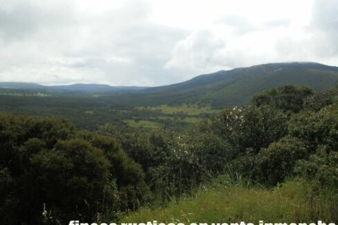 663_fincas-en-venta-039