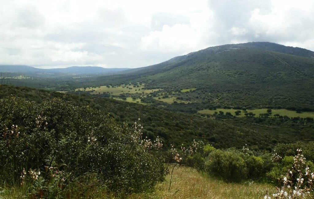 663_fincas-en-venta-040