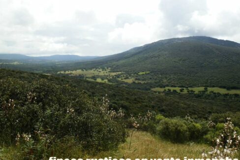663_fincas-en-venta-040