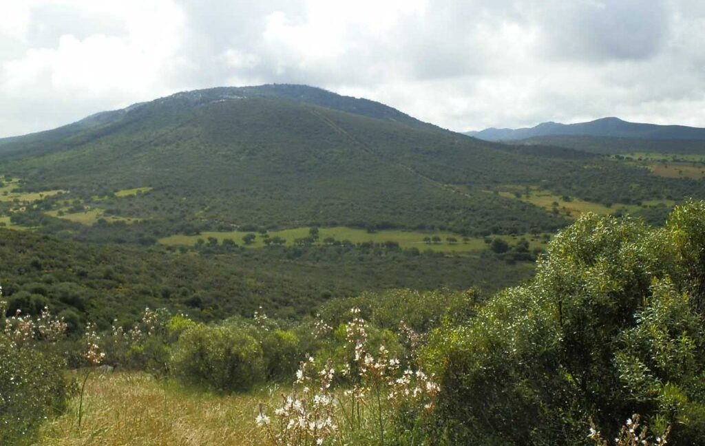 663_fincas-en-venta-041