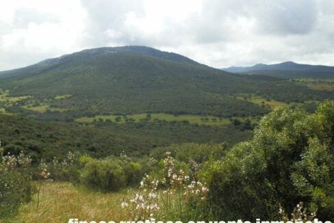 663_fincas-en-venta-041