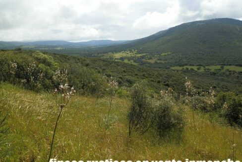 663_fincas-en-venta-042