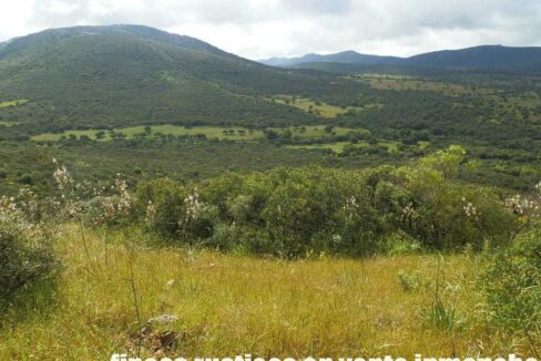 663_fincas-en-venta-043
