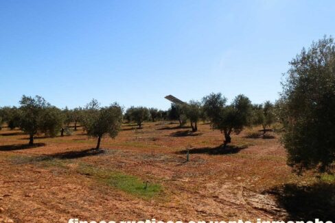 664_fincas-en-venta-002