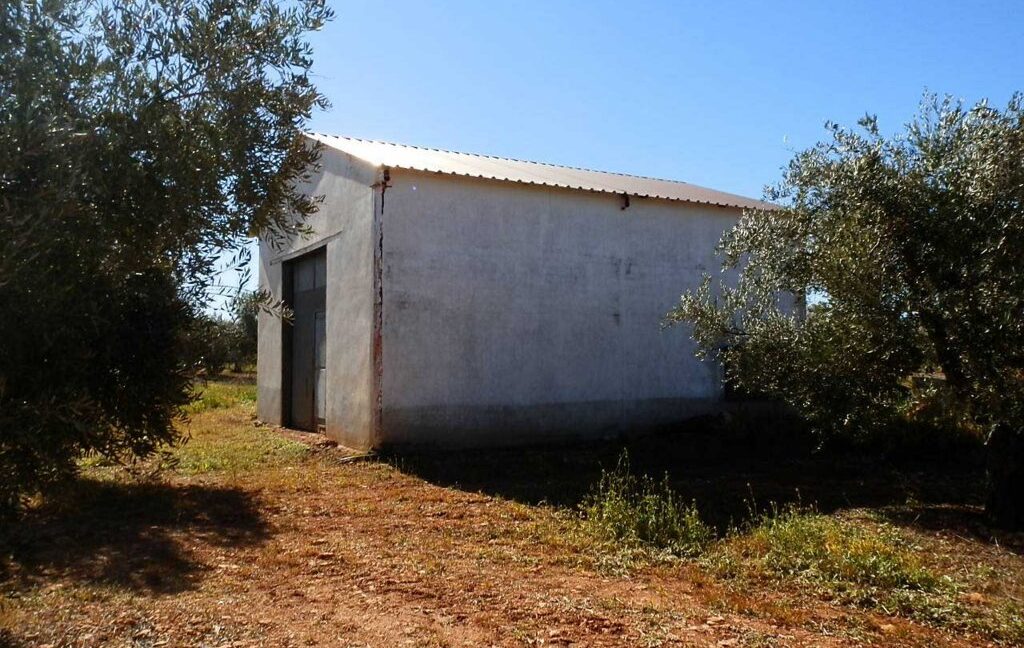 664_fincas-en-venta-004