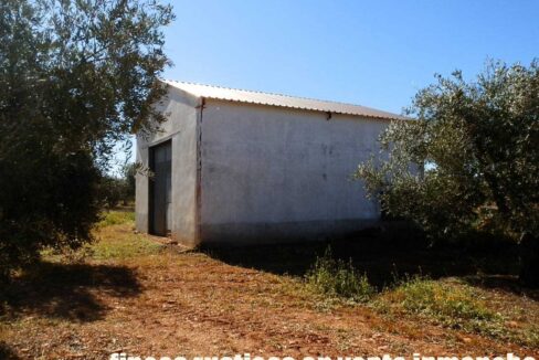 664_fincas-en-venta-004
