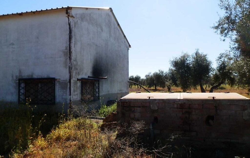 664_fincas-en-venta-008