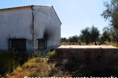 664_fincas-en-venta-008