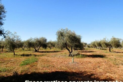 664_fincas-en-venta-009