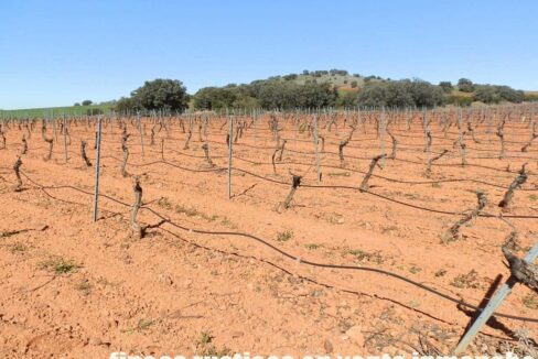 664_fincas-en-venta-012