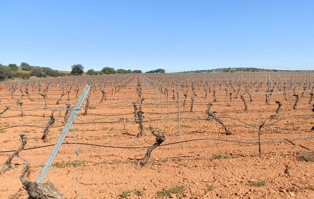 664_fincas-en-venta-013