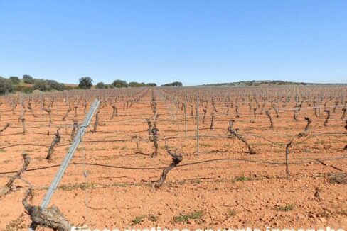 664_fincas-en-venta-013