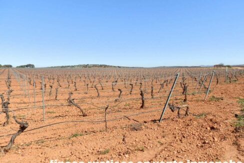 664_fincas-en-venta-014