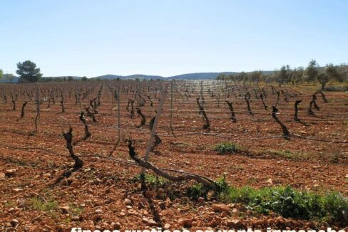 664_fincas-en-venta-015