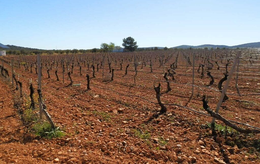 664_fincas-en-venta-016