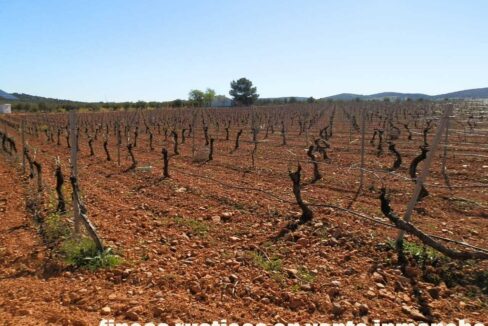664_fincas-en-venta-016