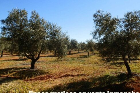 664_fincas-en-venta-022