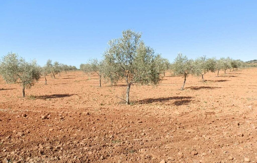 664_fincas-en-venta-024