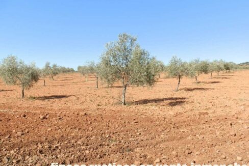 664_fincas-en-venta-024