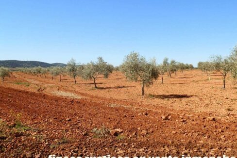 664_fincas-en-venta-025