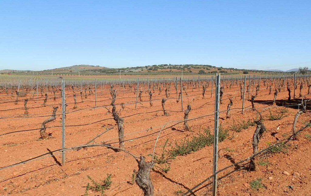 664_fincas-en-venta-026