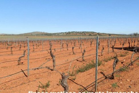664_fincas-en-venta-026