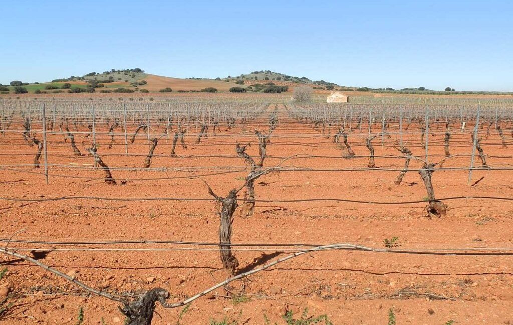 664_fincas-en-venta-027