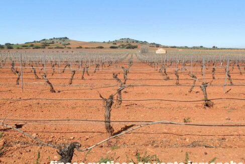 664_fincas-en-venta-027