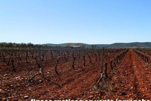 664_fincas-en-venta-041