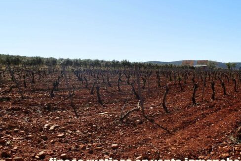 664_fincas-en-venta-043