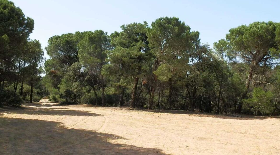 665_fincas-en-venta-022