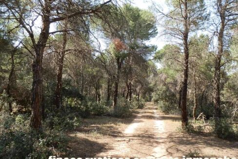 665_fincas-en-venta-026