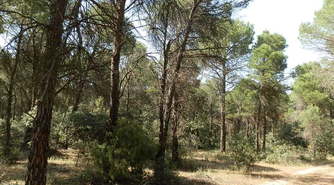 665_fincas-en-venta-028