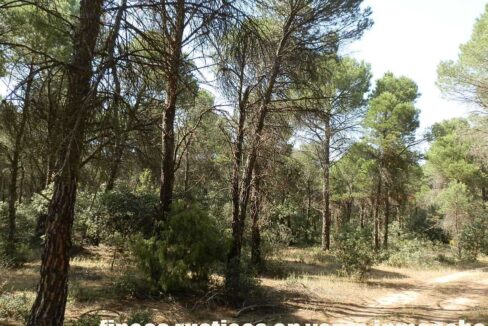 665_fincas-en-venta-028