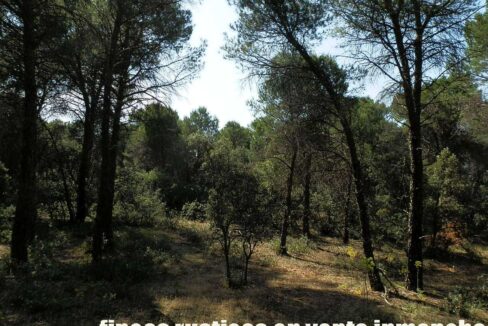 665_fincas-en-venta-030