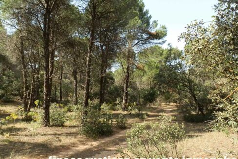 665_fincas-en-venta-031