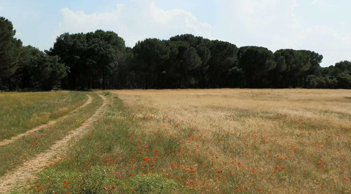 665_fincas-en-venta-035