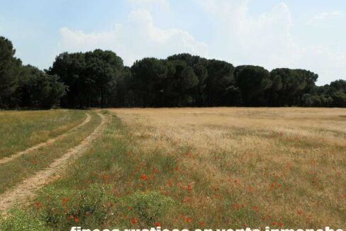 665_fincas-en-venta-035