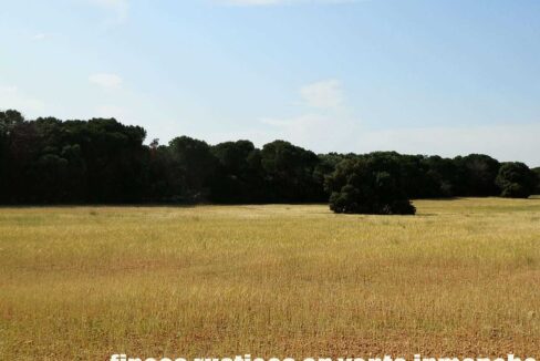665_fincas-en-venta-044