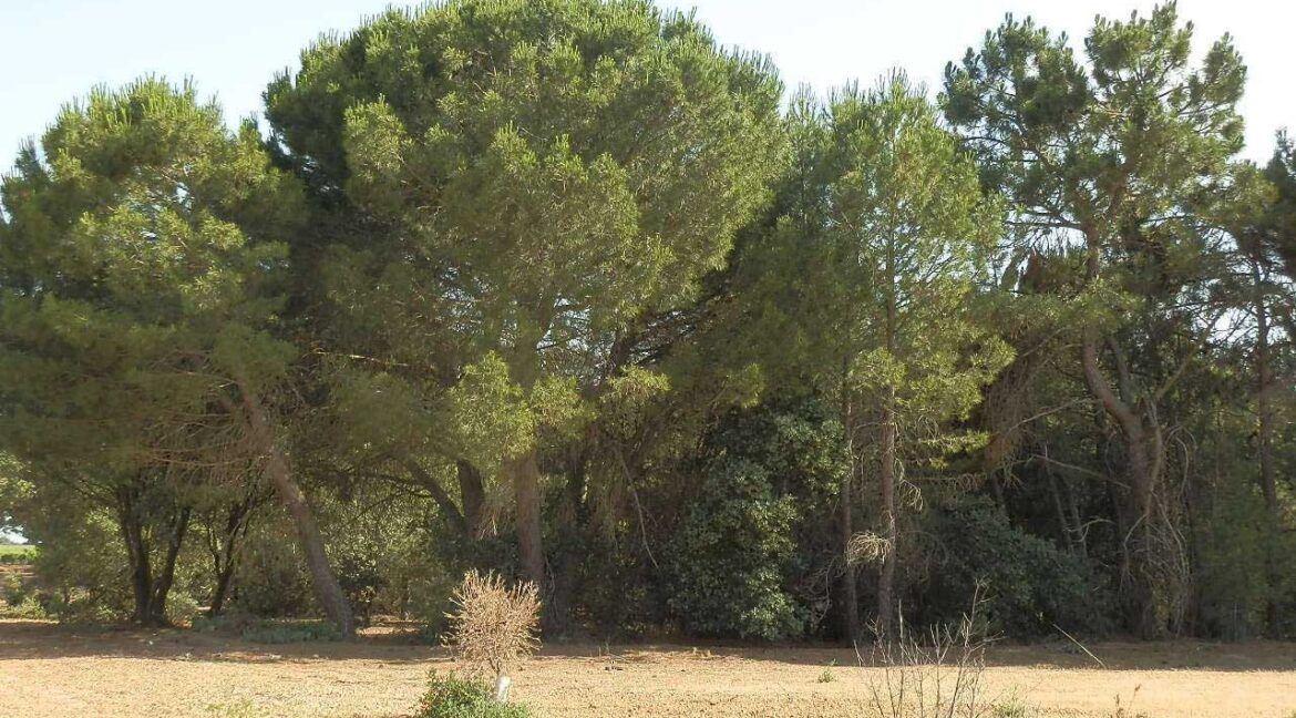 665_fincas-en-venta-047