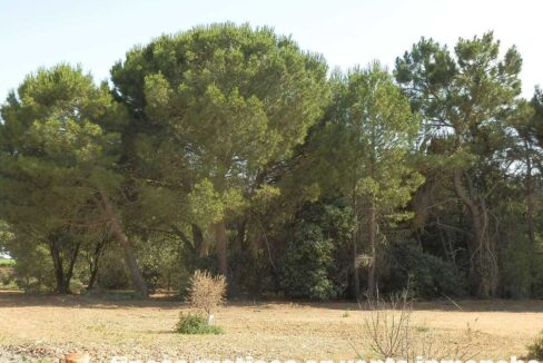665_fincas-en-venta-047