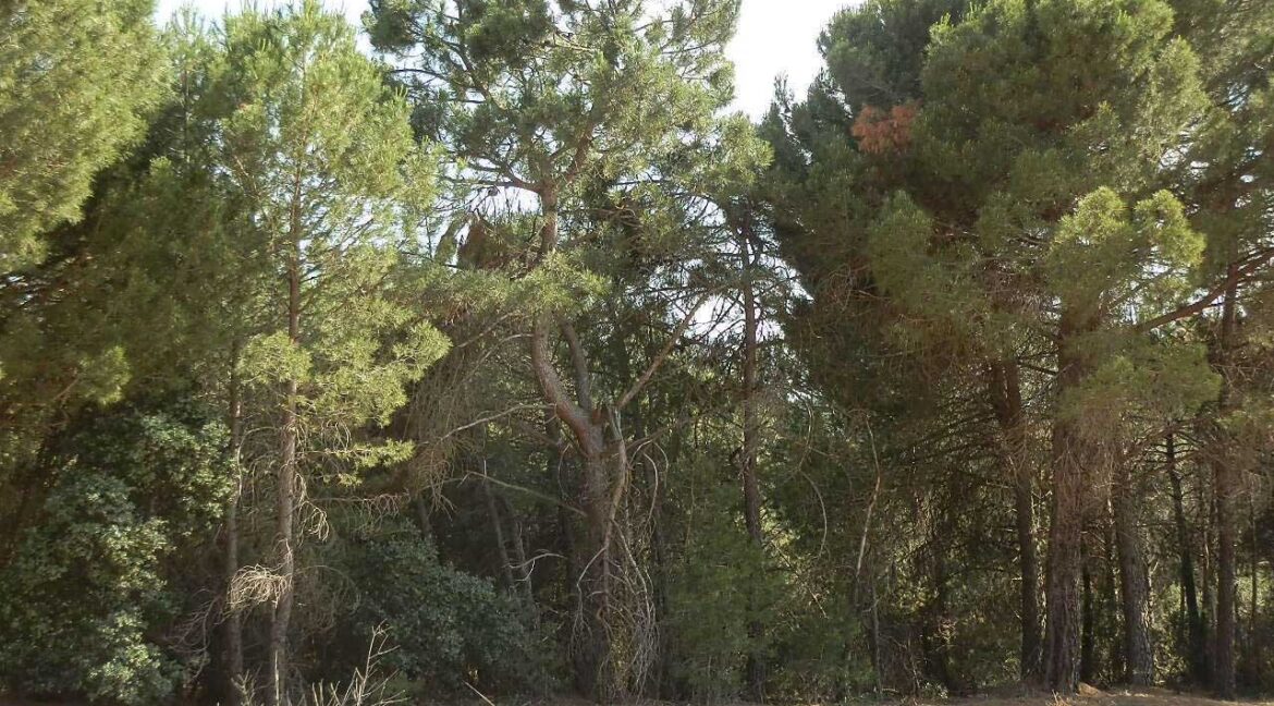 665_fincas-en-venta-048