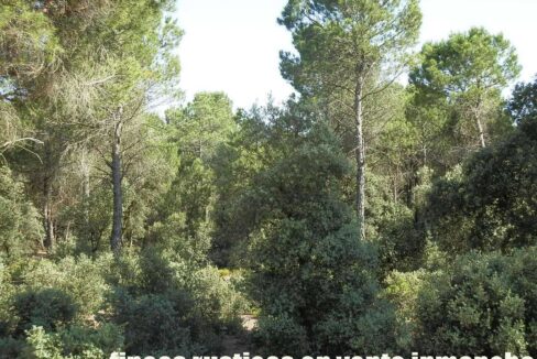 665_fincas-en-venta-049