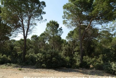 665_fincas-en-venta-050