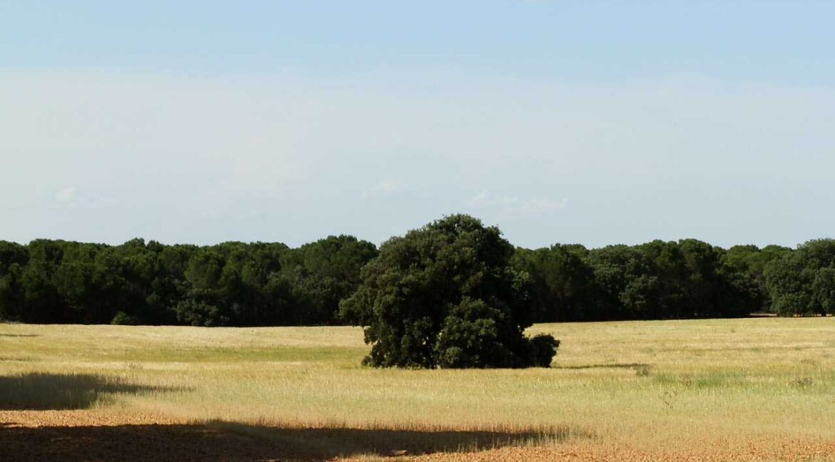 665_fincas-en-venta-053