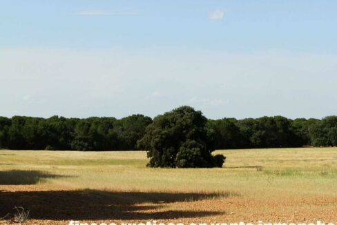 665_fincas-en-venta-053