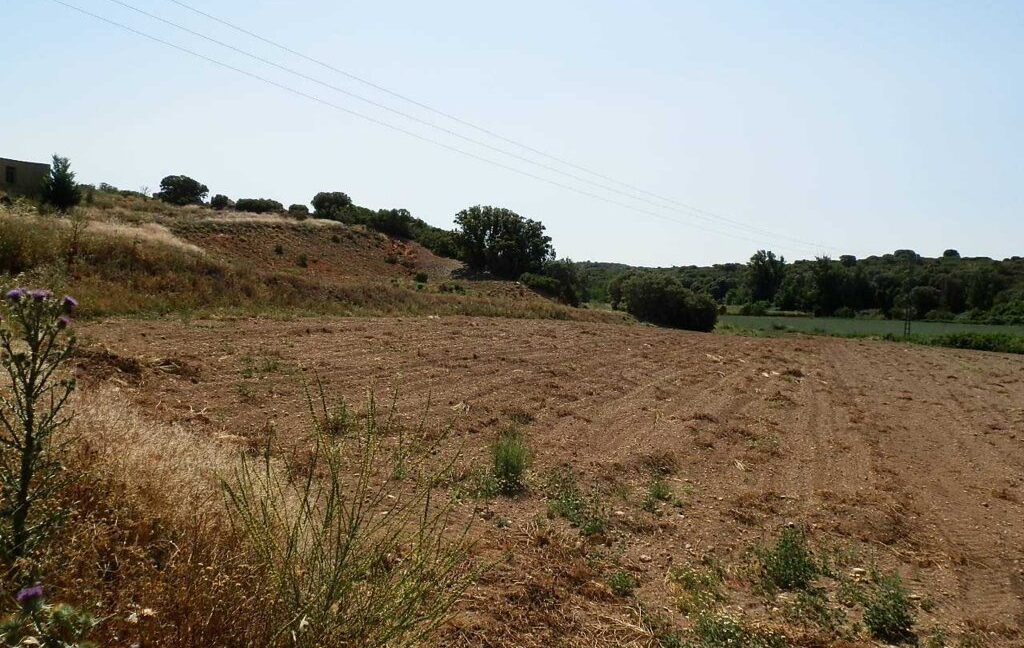 666_fincas-en-venta-001
