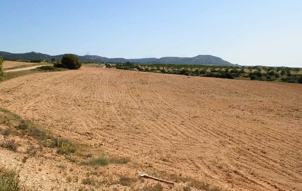 666_fincas-en-venta-003