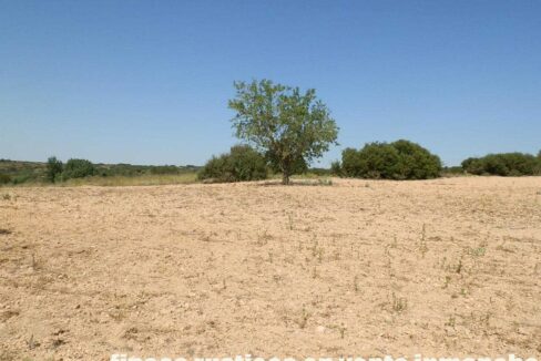 666_fincas-en-venta-005